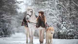 Woman dogs horse snow woods - in the wood free wallpaper for desktop