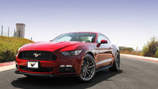 Red mustang parked hedge parking - a red mustang mustang free wallpaper