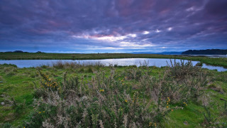 Lake green field cloudy sky 3 - a few cloud above free wallpaper
