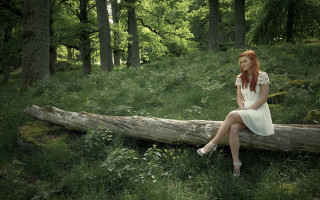Woman sitting forest moss lake - in a forest free wallpaper