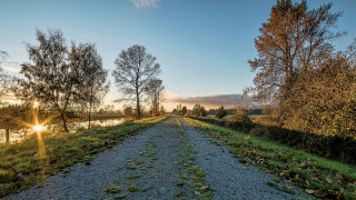 Dirt road grass trees river - a river in the background free wallpaper