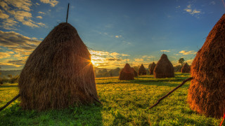 Hay bales sunset clouds trees - free landscape wallpaper