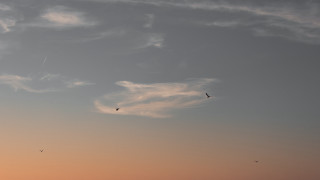 Sunset plane clouds bird horizon - apelle free wallpaper for desktop