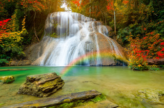 Waterfall rainbow autumn leaves nature - a rainbow in the middle of it free wallpaper