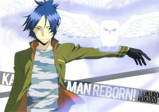 Blue hair man owl wings - man free wallpaper