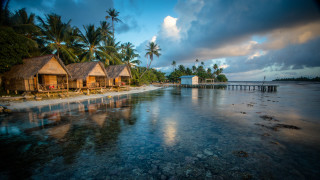 Beach huts dock palmtrees waterfront - a body of water in front free wallpaper for desktop