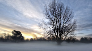 Lone tree snowy field sunset 4 - a lone tree in a snowy field free wallpaper for desktop