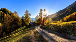 Dirt road house mountains trees - both side of the road free wallpaper