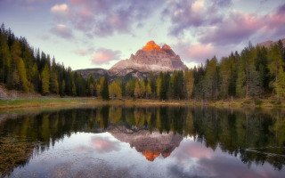 Mountain reflection lake trees forest 3 - beautiful landscape free wallpaper