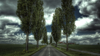 Road trees barn cloudy sky - both side free wallpaper for desktop