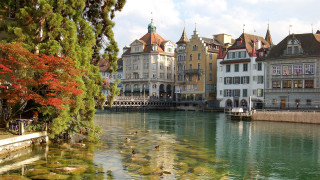 River ducks architecture cityscape flowers - it next free wallpaper for desktop