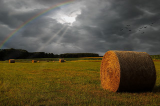 Rainbow haybales birds stormy sky - stormy weather free wallpaper
