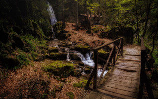 Wooden bridge waterfall forest mossy - side of it free wallpaper