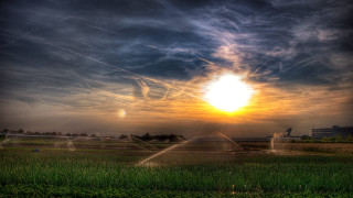 Sunset field sprinkler water landscape - free sunset wallpaper