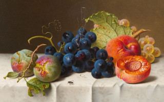 Fruit leaf flower bee bosschaert - a bee free wallpaper