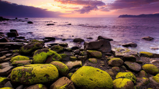 Rocky beach mossy rocks sunset - the rock and water free wallpaper