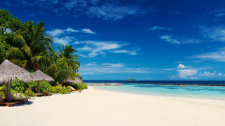 Beach palm trees umbrella ocean - bascove free wallpaper for desktop