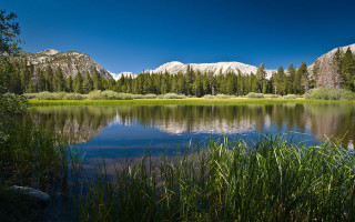Lake mountains tallgrass forest blueSky - ansel adams free wallpaper