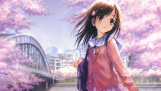 Girl pink dress anime park - a pink flower free wallpaper