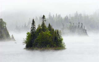 Small island lake foggy forest - a small island in the middle of a lake free wallpaper
