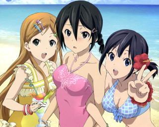 Three girls beach bathing suits - the other hand free wallpaper
