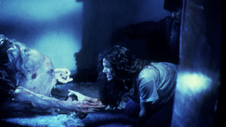Man woman room dead animal - clark voorhees free wallpaper for desktop