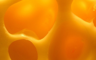 Yellow substance white black border - elizabeth murray free wallpaper