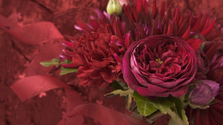 Red rose bouquet rococo flower - red ribbon free wallpaper