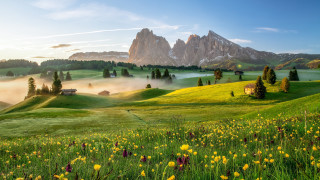 Green field yellow flowers house 2 - free mountains wallpaper