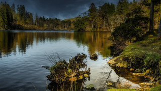 Lake forest reflection cloudy sky - fallen free wallpaper