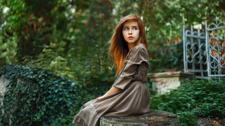 Woman tree stump park fence - bush free wallpaper