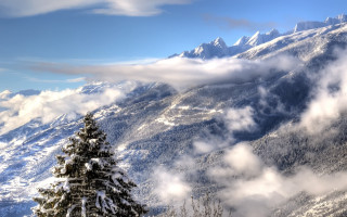 Snowy mountain pine tree clouds - a snowy mountain free wallpaper