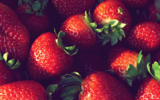 Strawberries leaves impressionism macro berry - strawberry free wallpaper