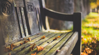 Wooden bench leaves park autumn - a wooden bench free wallpaper
