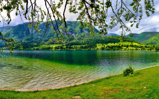Lake mountains trees bench grassy - a grassy area in the foreground free wallpaper