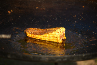 Fried corn pan oil spatula - oil free wallpaper