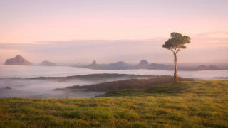 Lone tree hill foggy valley - low free wallpaper for desktop