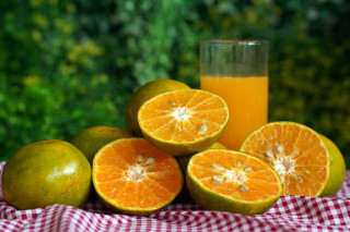 Orange juice oranges grapefruit checkered - cloth free wallpaper