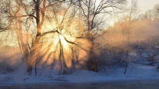 Sunbeam trees snow river winter - volumetric light free wallpaper for desktop