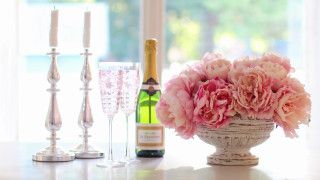 Vase flowers champagne flutes wine - soft free wallpaper