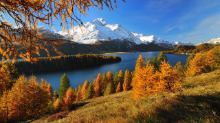 Lake mountain forest autumn sunset - free mountains wallpaper for desktop