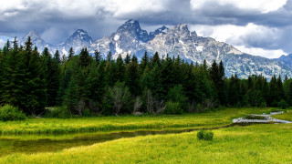 Mountain stream trees field lake - free landscape wallpaper