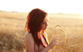 Woman dandelion beach sunset redhair - a woman in a field free wallpaper
