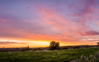 Sunset tree field clouds hills - a few flower free wallpaper
