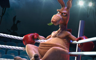 Kangaroo boxing green leaf glove - a kangaroo free wallpaper