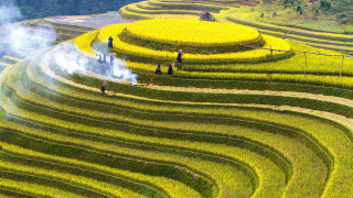 Green field hillside ecological art - a green field next free wallpaper