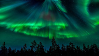 Aurora borealis night forest stars - aurora free wallpaper for desktop