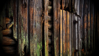 Wooden wall peeling paint moss - clyfford still free wallpaper