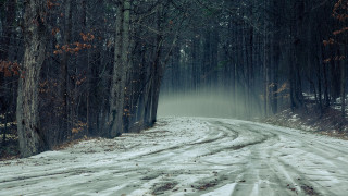 Snowy woods road matte painting - the side of the road free wallpaper for desktop