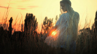 Woman field sunset wind hair - shining free wallpaper